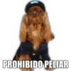 PROHIBIDO PELIAR
