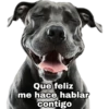 Que feliz
me hace hablar
contigo