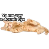 Ya me voy
a dormir bye