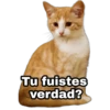 Tu fuistes
verdad?