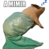 A MIMIR
*²