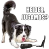 HEIDER,
JUGAMOS?