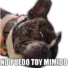NO PUEDO TOY MIMIDO