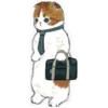 Gatitos hermosos 2 16