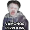 VÁMONOS
PERROOSS