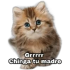 Grrrrr
Chinga tu madre