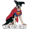 NO POS GAU