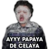 AYYY PAPAYA
DE CELAYA