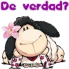 De verdad?
Geysi Oy