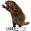 RODRIGOOOO