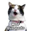 WTF
Que pedo