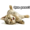 Que paso?