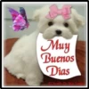 Frases de Buenos días 19