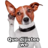 Que dijistes
we