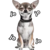 je
je
je