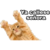 Ya callese
señora