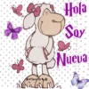 O
(3
43
0
D
0
O
0
o
O
D
0
Gersj
NAM
o
O
Hola
Soy
Nueva
20
00
O
0
a
0
O