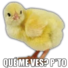 QUÉ ME VES? P*TO