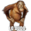 LO DUDO