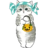 Gatitos hermosos 2 22