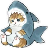 Gatitos hermosos 2 23