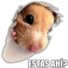 ESTAS AHÍ?