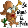 Se
armo
to
Peda
VeroBelies
FIESTA