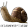 MAS DESPACIO VELOCISTA