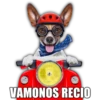 VAMONOS RECIO