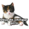 Deja de chingar
prro