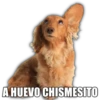 A HUEVO CHISMESITO