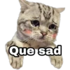 Que sad