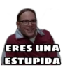 ERES UNA
ESTUPIDA