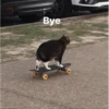 Bye