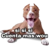 si si si
Cuenta mas wou