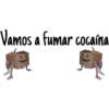 Vamos a fumar cocaína