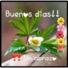 Frases de Buenos días 29