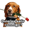 Quieres salir
conmigo?