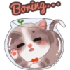 Boringpoo