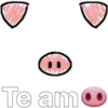 Te amo