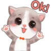 Ok!