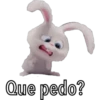 Que pedo?
P