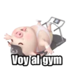 @raffadiiaz
Voy al gym