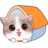 Gatito 9