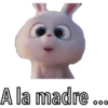 A la madre.
0