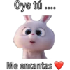 Oye tú
0000
Me encantas