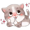 Gatito 11