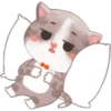 Gatito 13