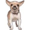 Aw
