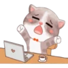 Gatito 15